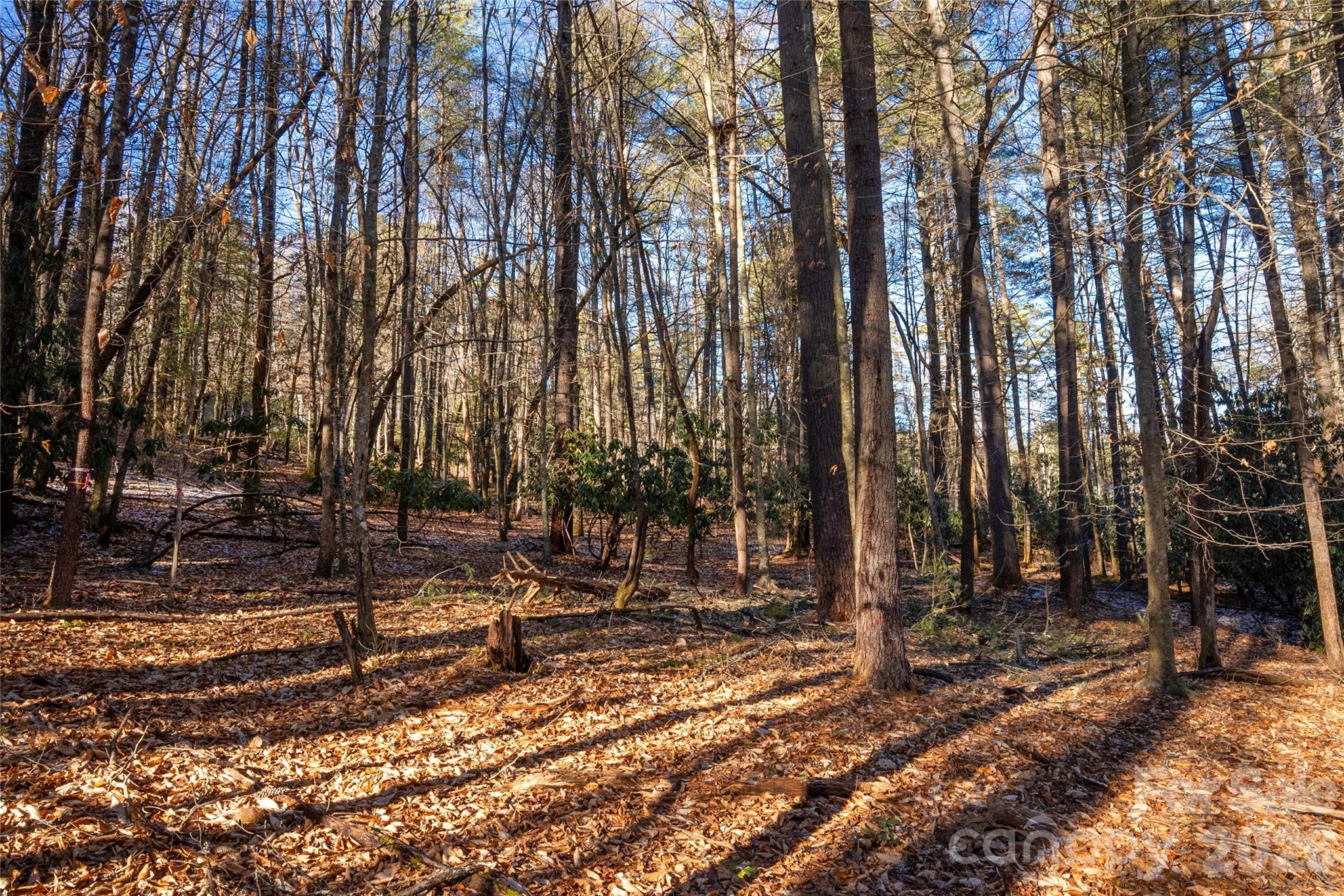 L11 Deerlake Road Brevard NC 28712
