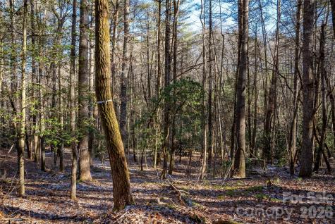 L11 Deerlake Road Brevard NC 28712