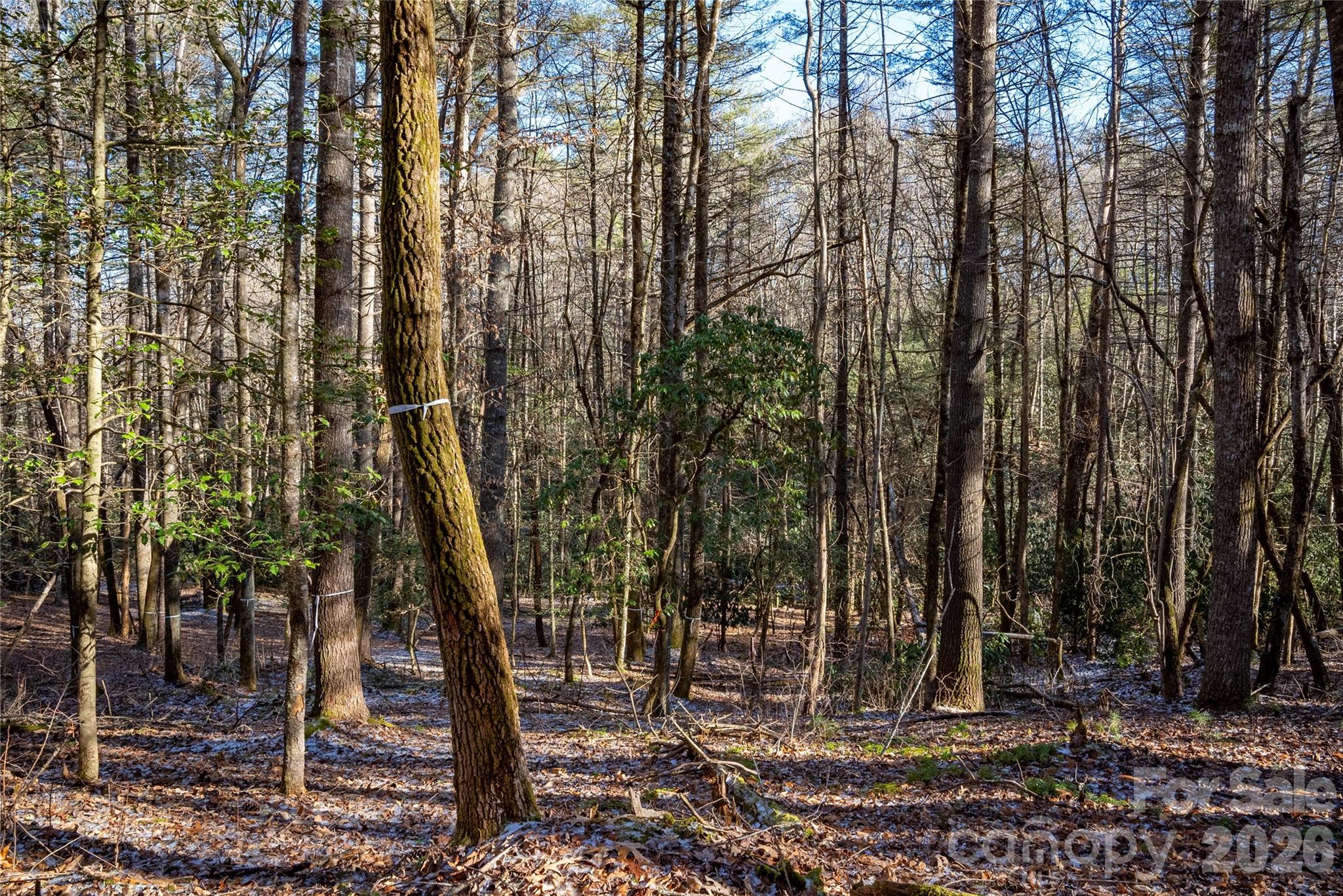 L11 Deerlake Road Brevard NC 28712