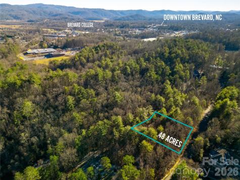 L11 Deerlake Road Brevard NC 28712