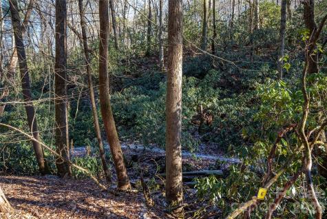 L11 Deerlake Road Brevard NC 28712