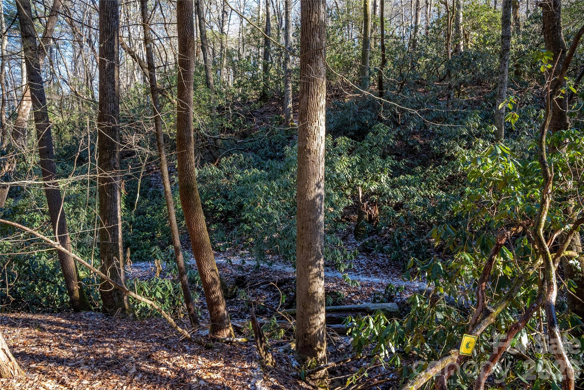 L11 Deerlake Road Brevard NC 28712