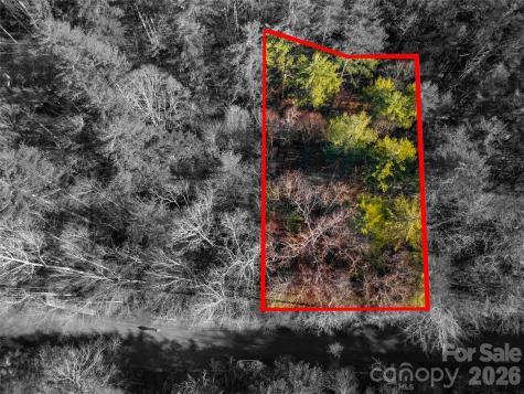 L11 Deerlake Road Brevard NC 28712