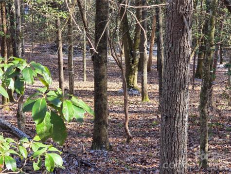 L11 Deerlake Road Brevard NC 28712