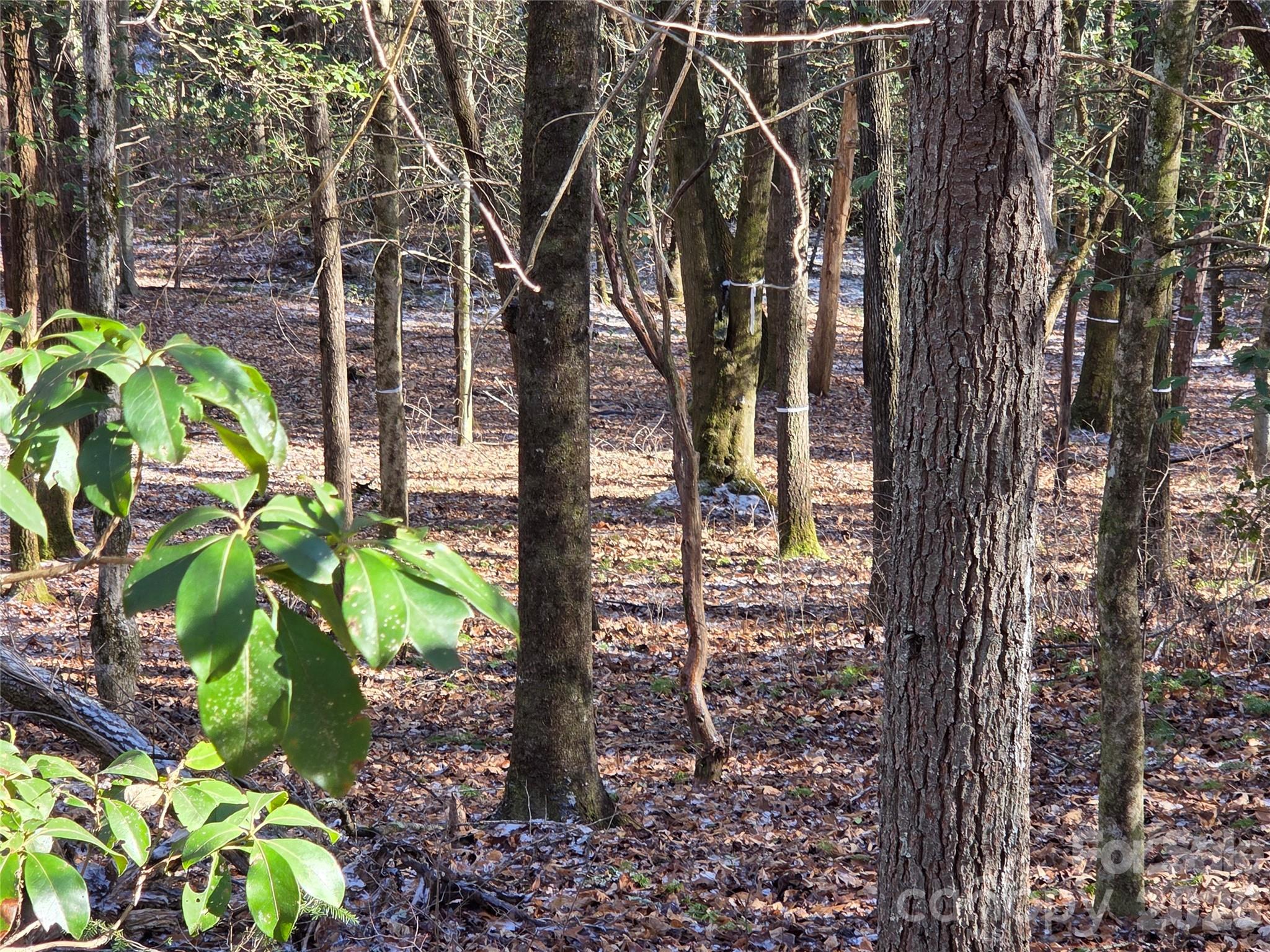 L11 Deerlake Road Brevard NC 28712