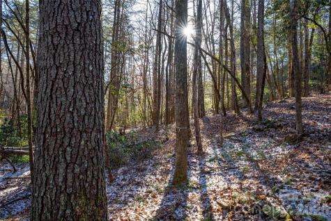 L11 Deerlake Road Brevard NC 28712