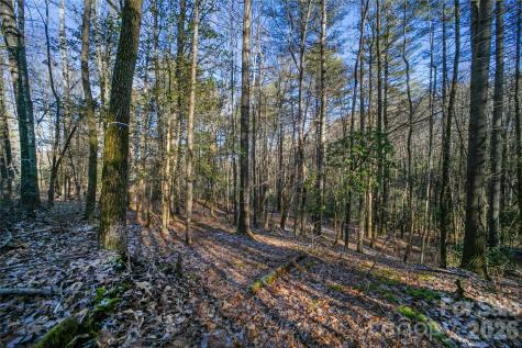 L11 Deerlake Road Brevard NC 28712