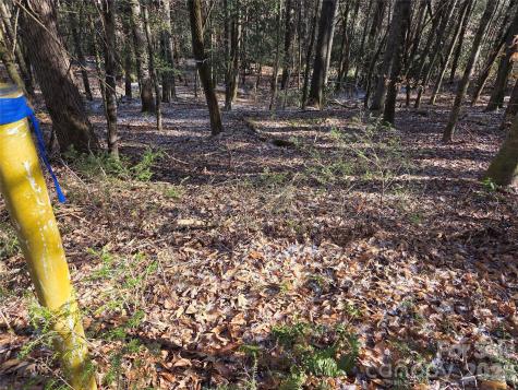 L11 Deerlake Road Brevard NC 28712