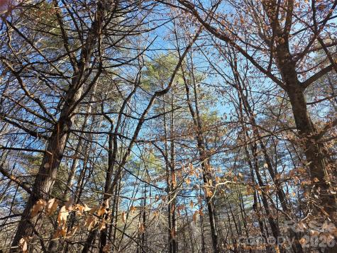 L11 Deerlake Road Brevard NC 28712