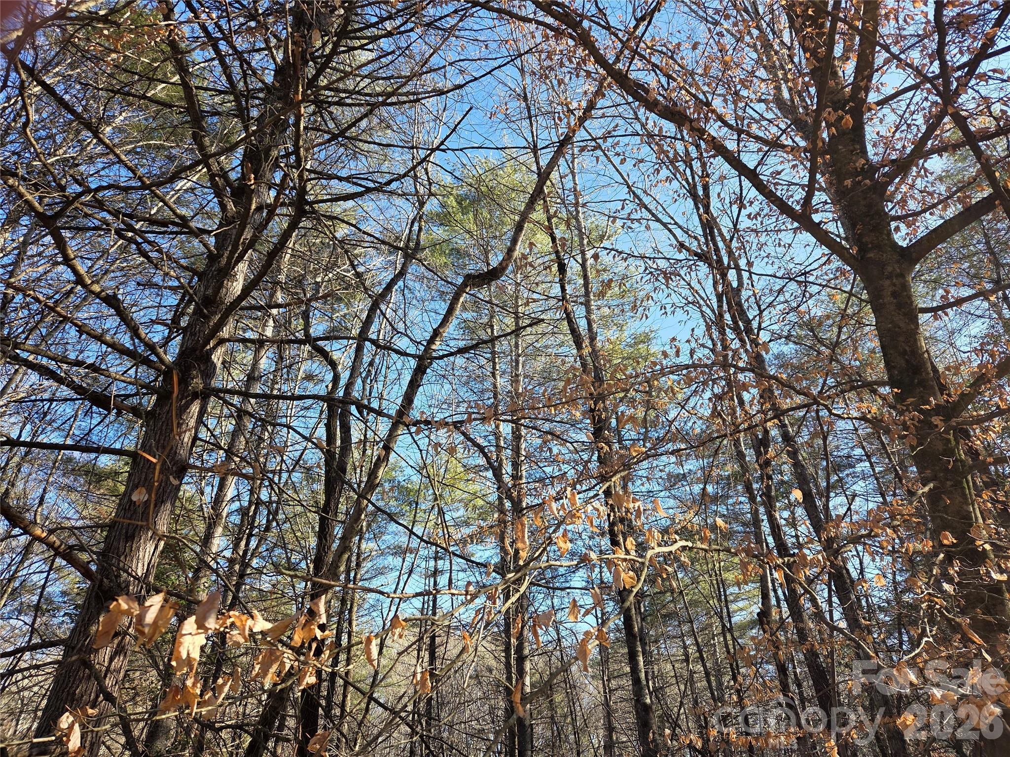 L11 Deerlake Road Brevard NC 28712