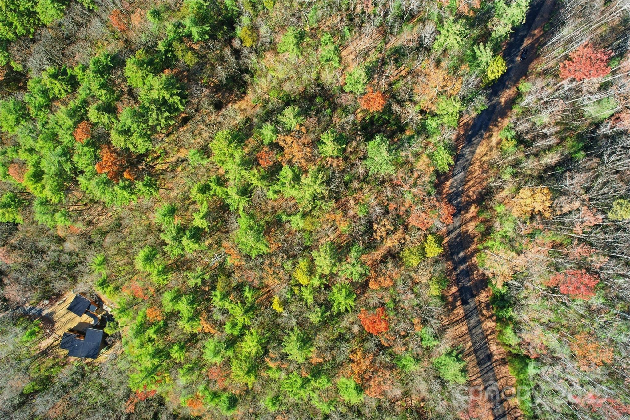 Lot 75 Peppervine Circle Rosman NC 28712