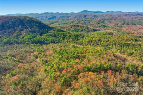 Lot 75 Peppervine Circle Rosman NC 28712