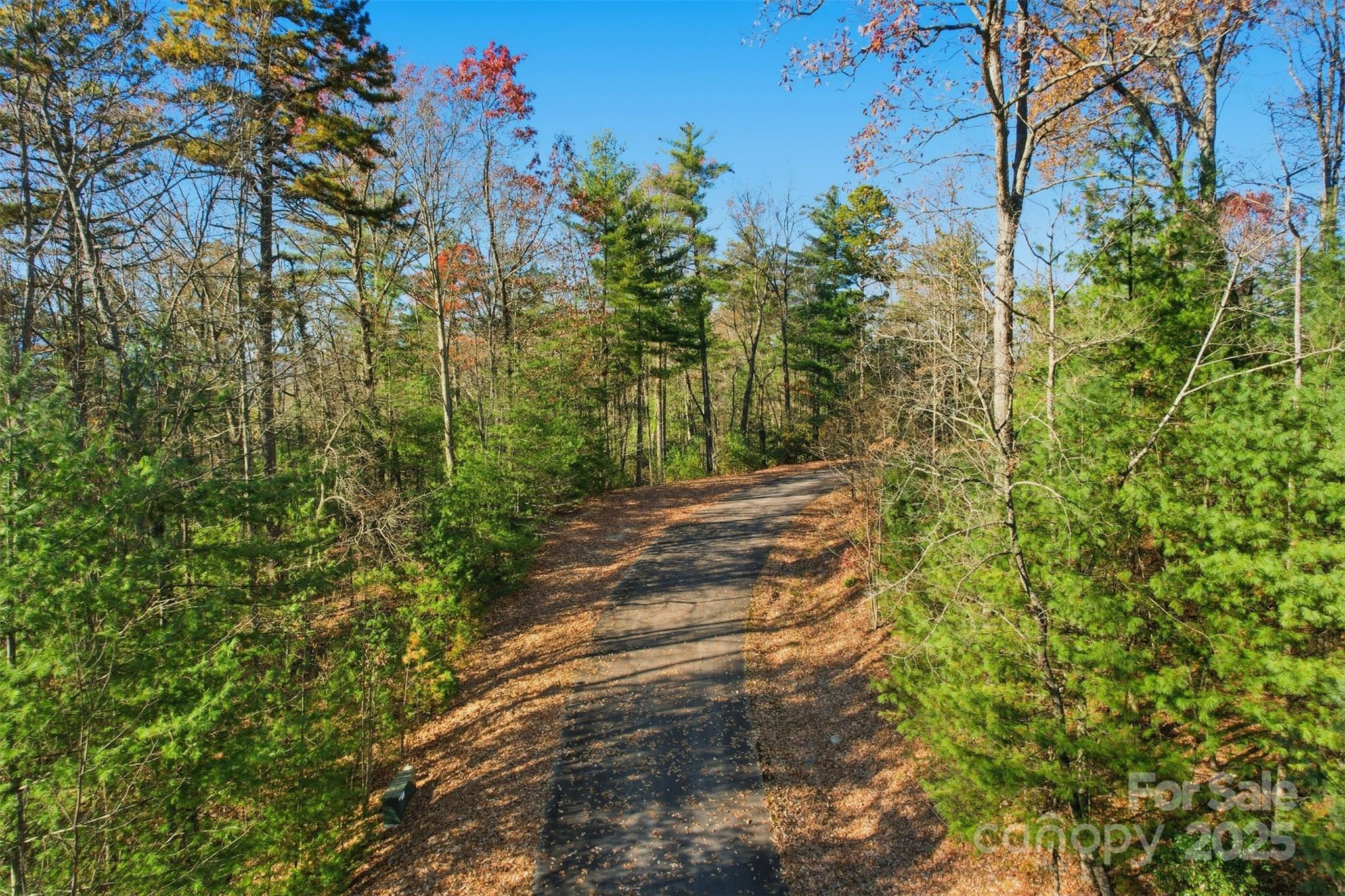 Lot 75 Peppervine Circle Rosman NC 28712