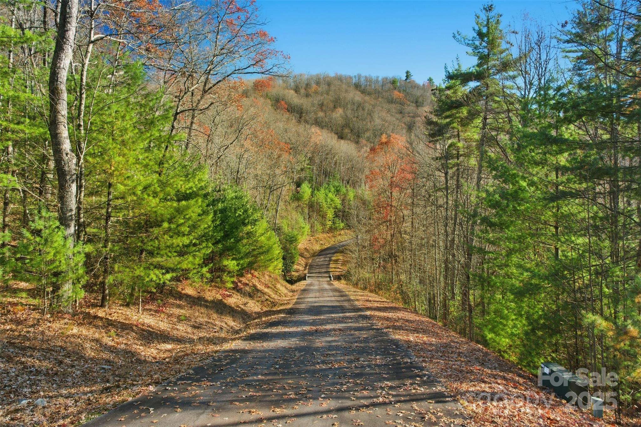 Lot 75 Peppervine Circle Rosman NC 28712