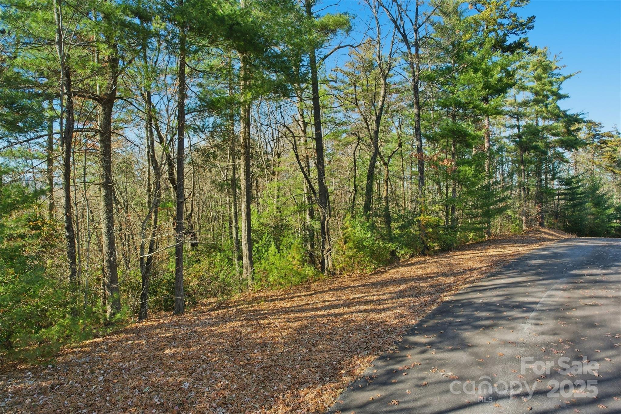 Lot 75 Peppervine Circle Rosman NC 28712