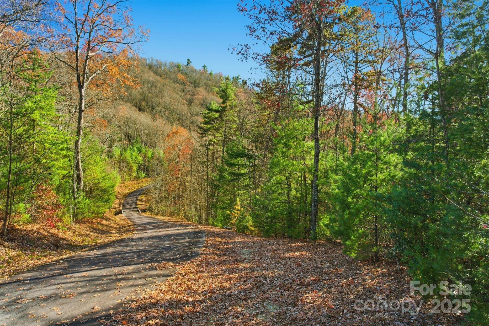 Lot 75 Peppervine Circle Rosman NC 28712