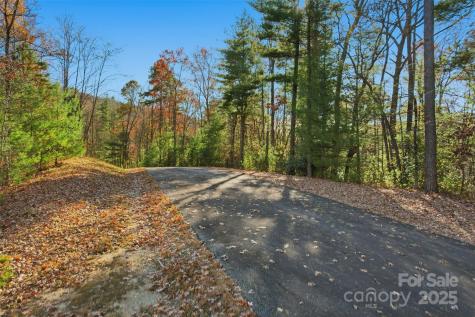 Lot 75 Peppervine Circle Rosman NC 28712