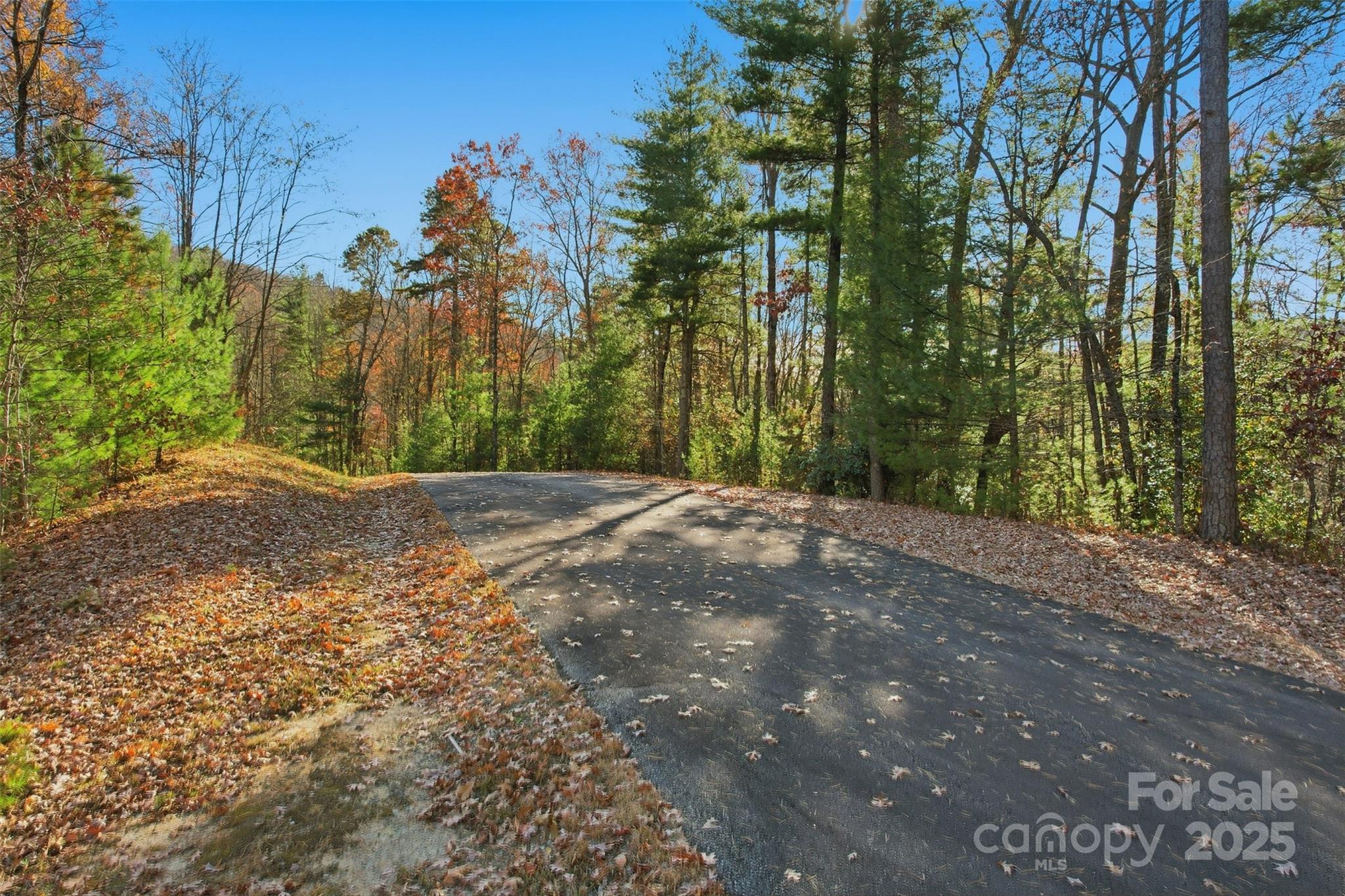 Lot 75 Peppervine Circle Rosman NC 28712