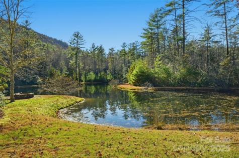 Lot 75 Peppervine Circle Rosman NC 28712