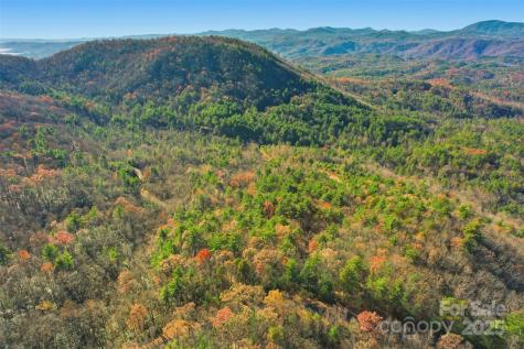 Lot 75 Peppervine Circle Rosman NC 28712