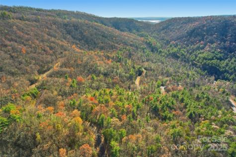 Lot 75 Peppervine Circle Rosman NC 28712