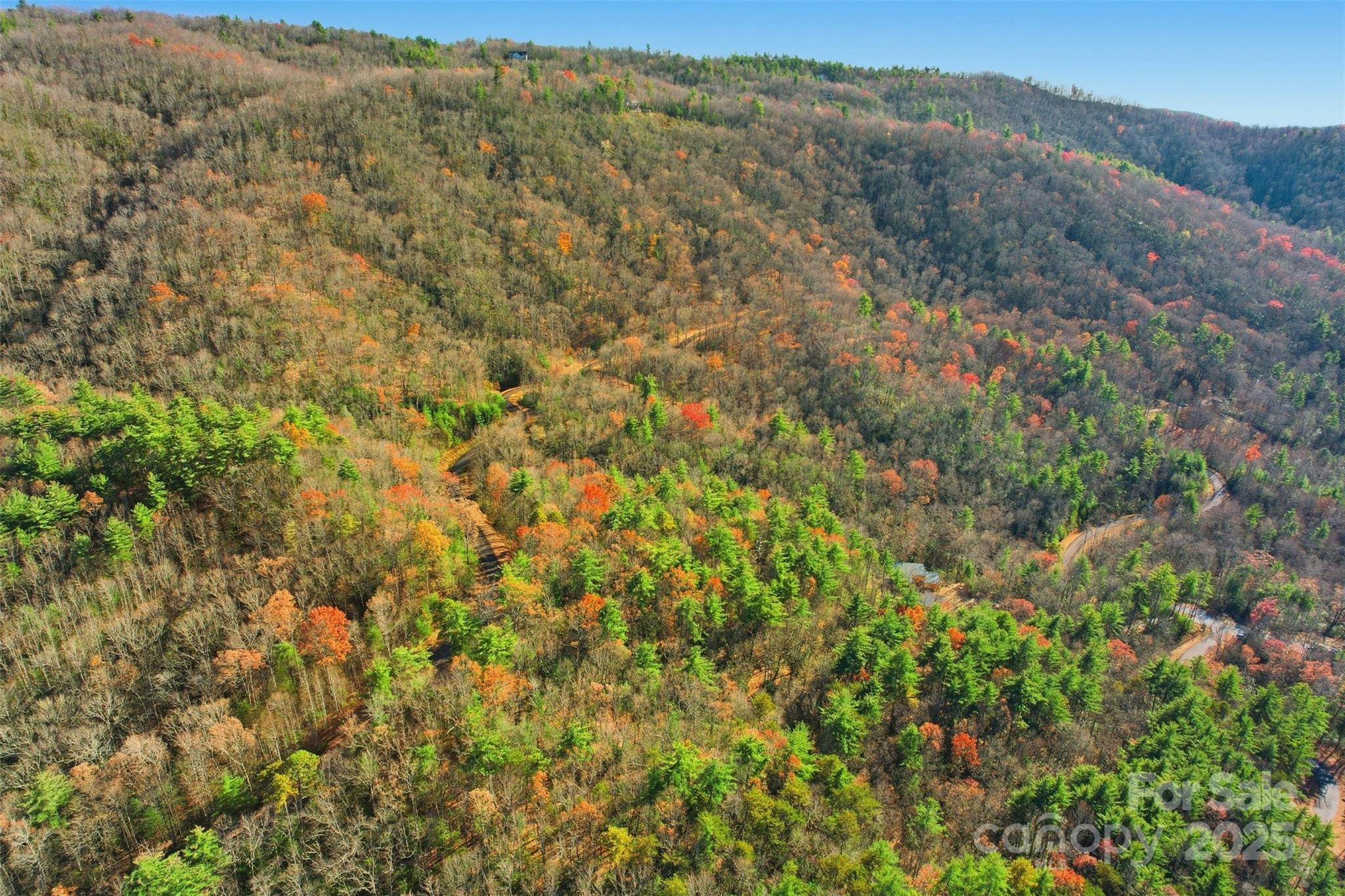 Lot 75 Peppervine Circle Rosman NC 28712