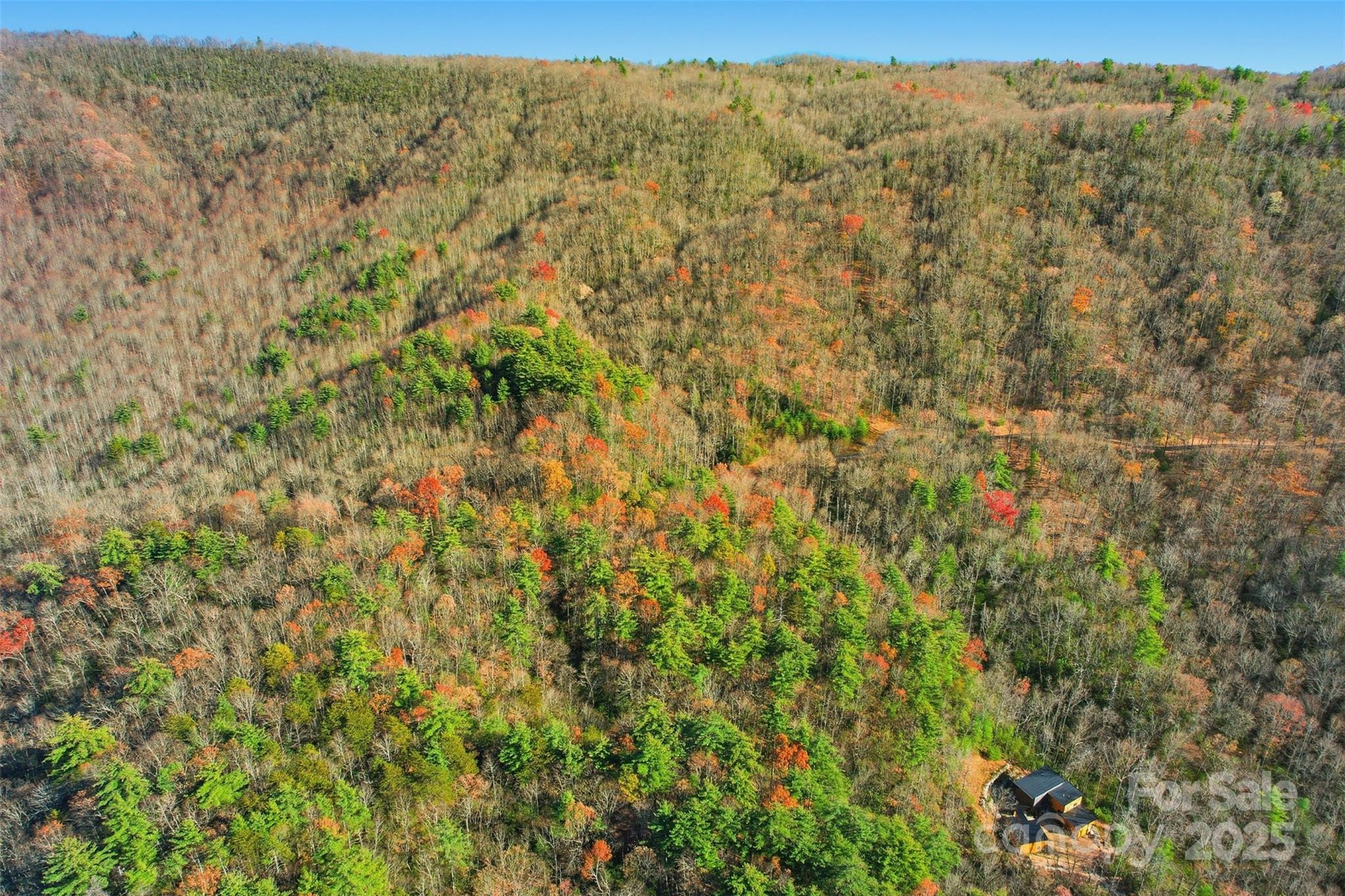 Lot 75 Peppervine Circle Rosman NC 28712
