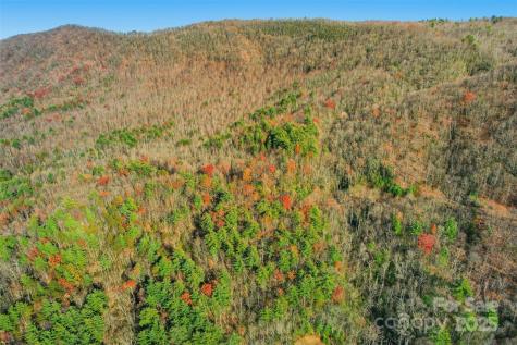 Lot 75 Peppervine Circle Rosman NC 28712
