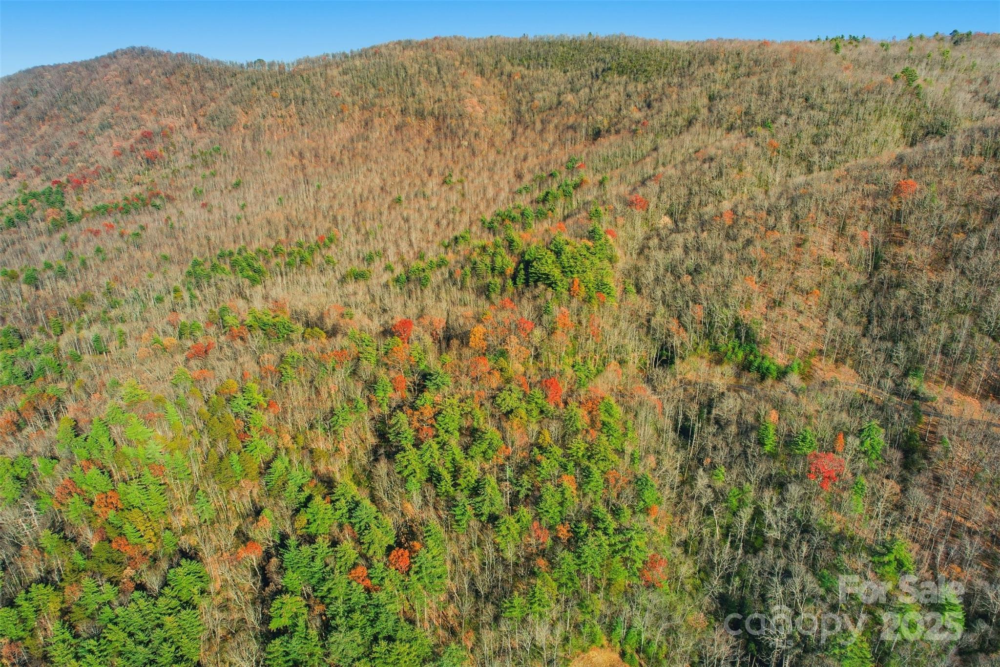Lot 75 Peppervine Circle Rosman NC 28712