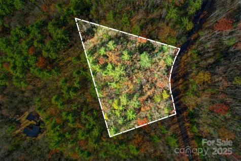 Lot 75 Peppervine Circle Rosman NC 28712