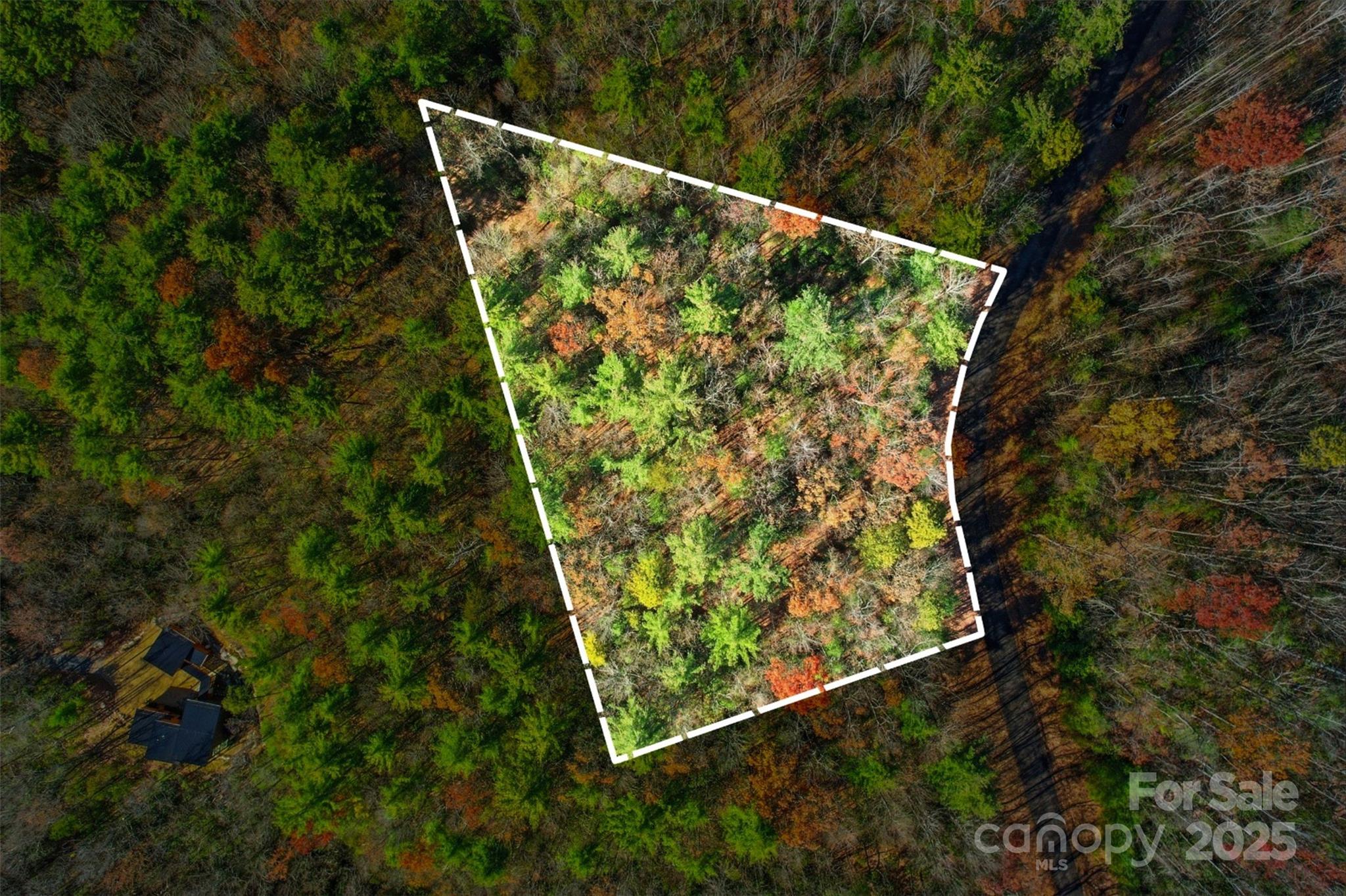 Lot 75 Peppervine Circle Rosman NC 28712
