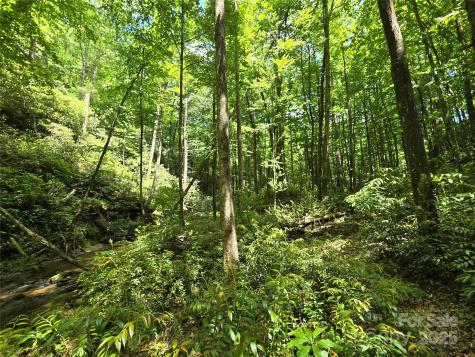 4277 Pickens Highway Rosman NC 28772