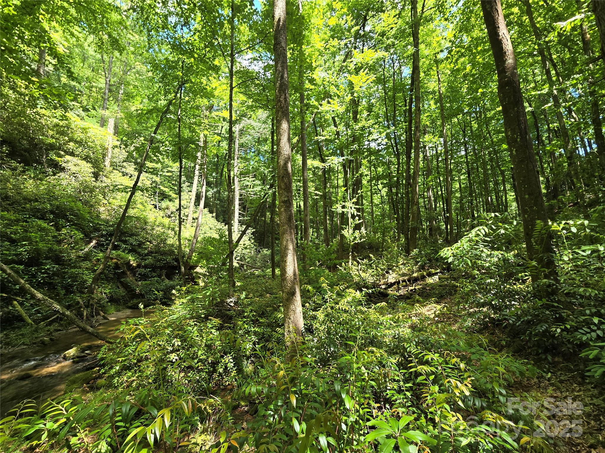 4277 Pickens Highway Rosman NC 28772