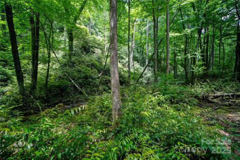 4277 Pickens Highway Rosman NC 28772