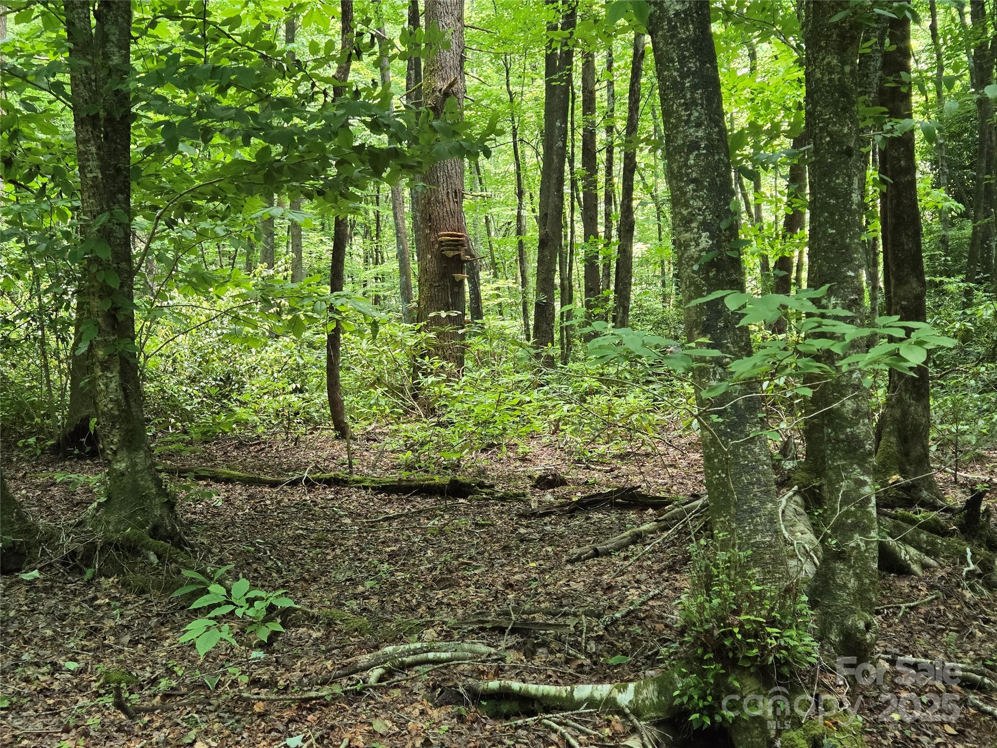 4277 Pickens Highway Rosman NC 28772