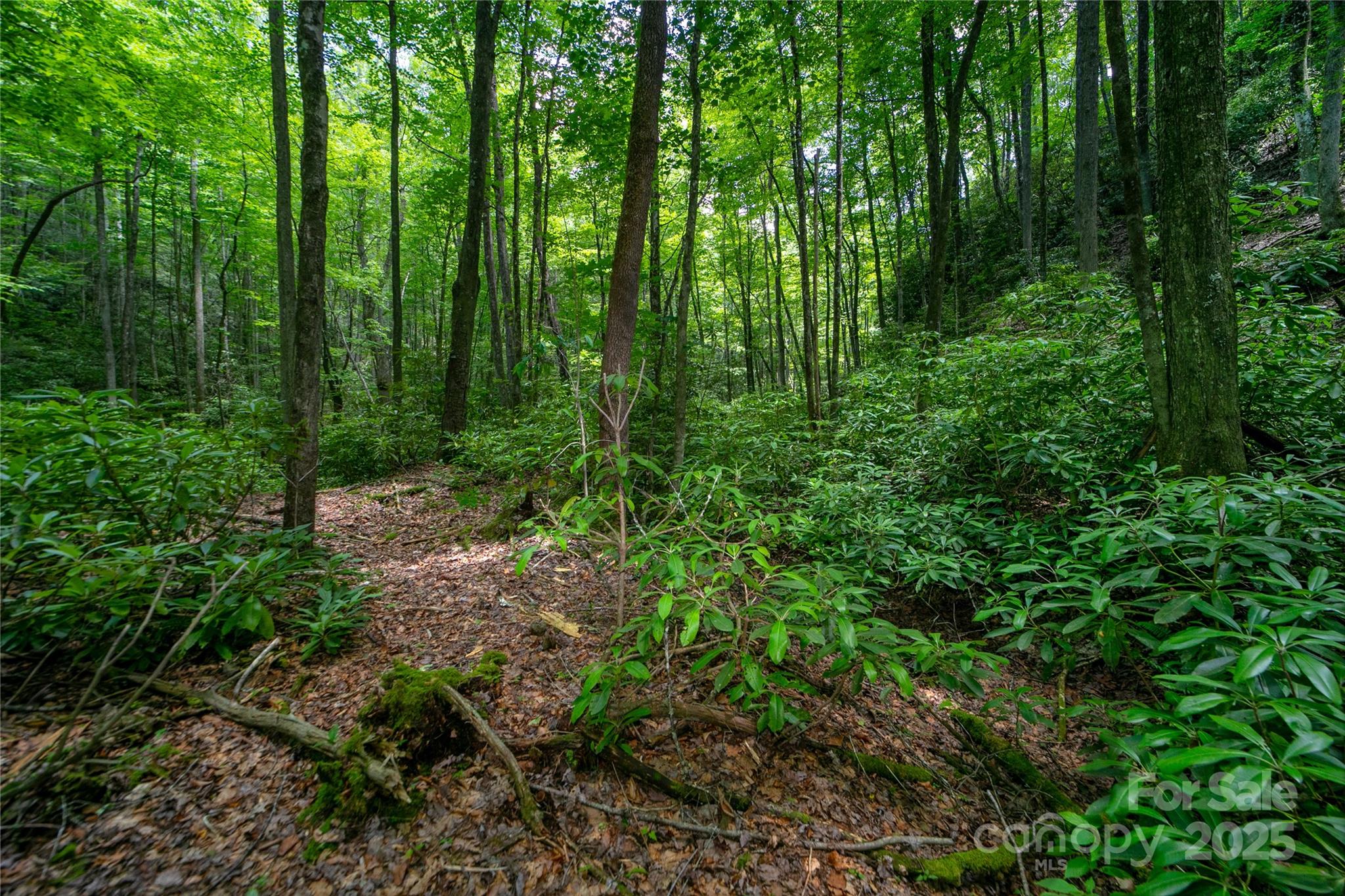 4277 Pickens Highway Rosman NC 28772