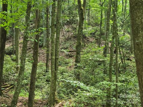 4277 Pickens Highway Rosman NC 28772