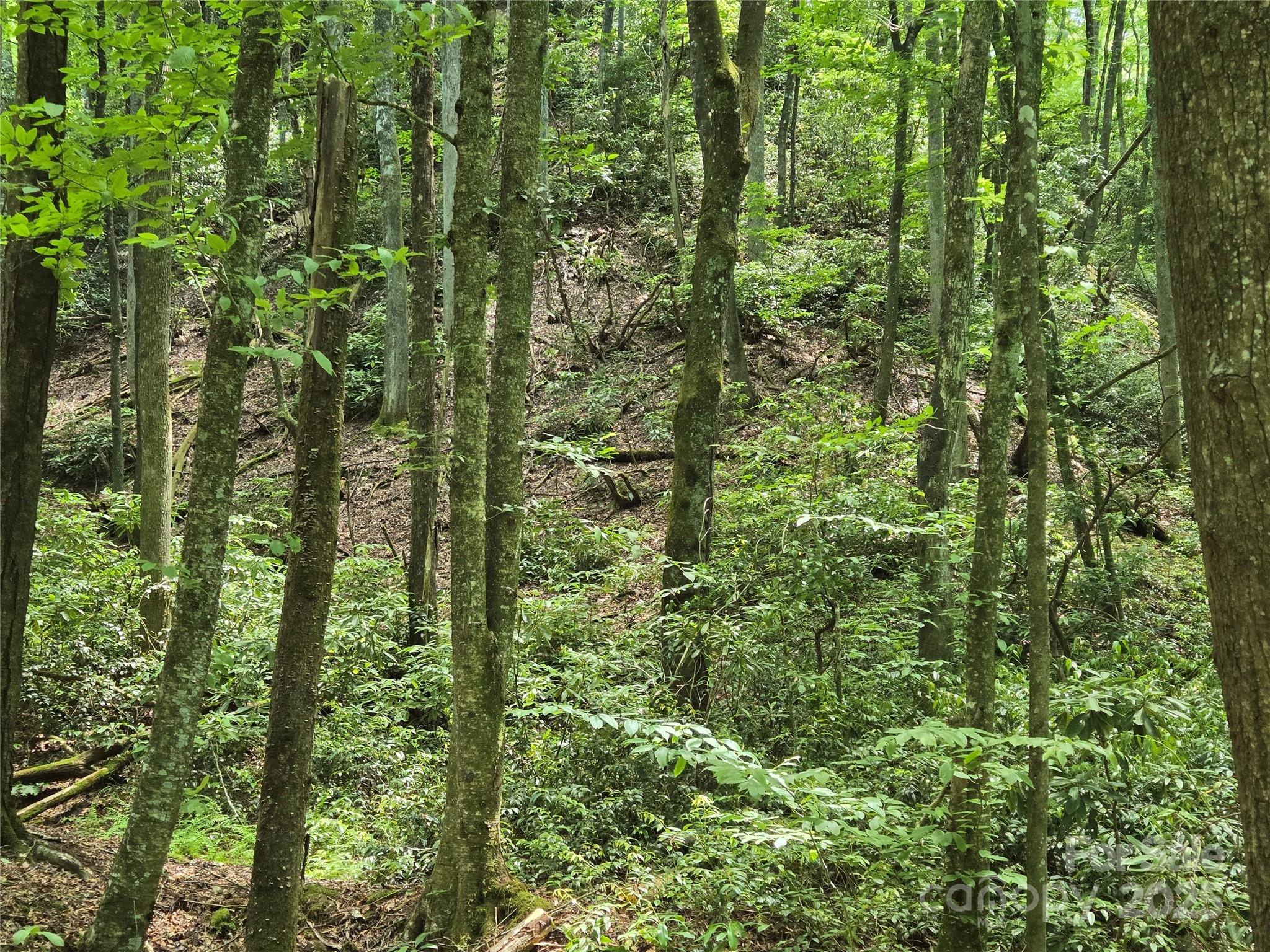 4277 Pickens Highway Rosman NC 28772
