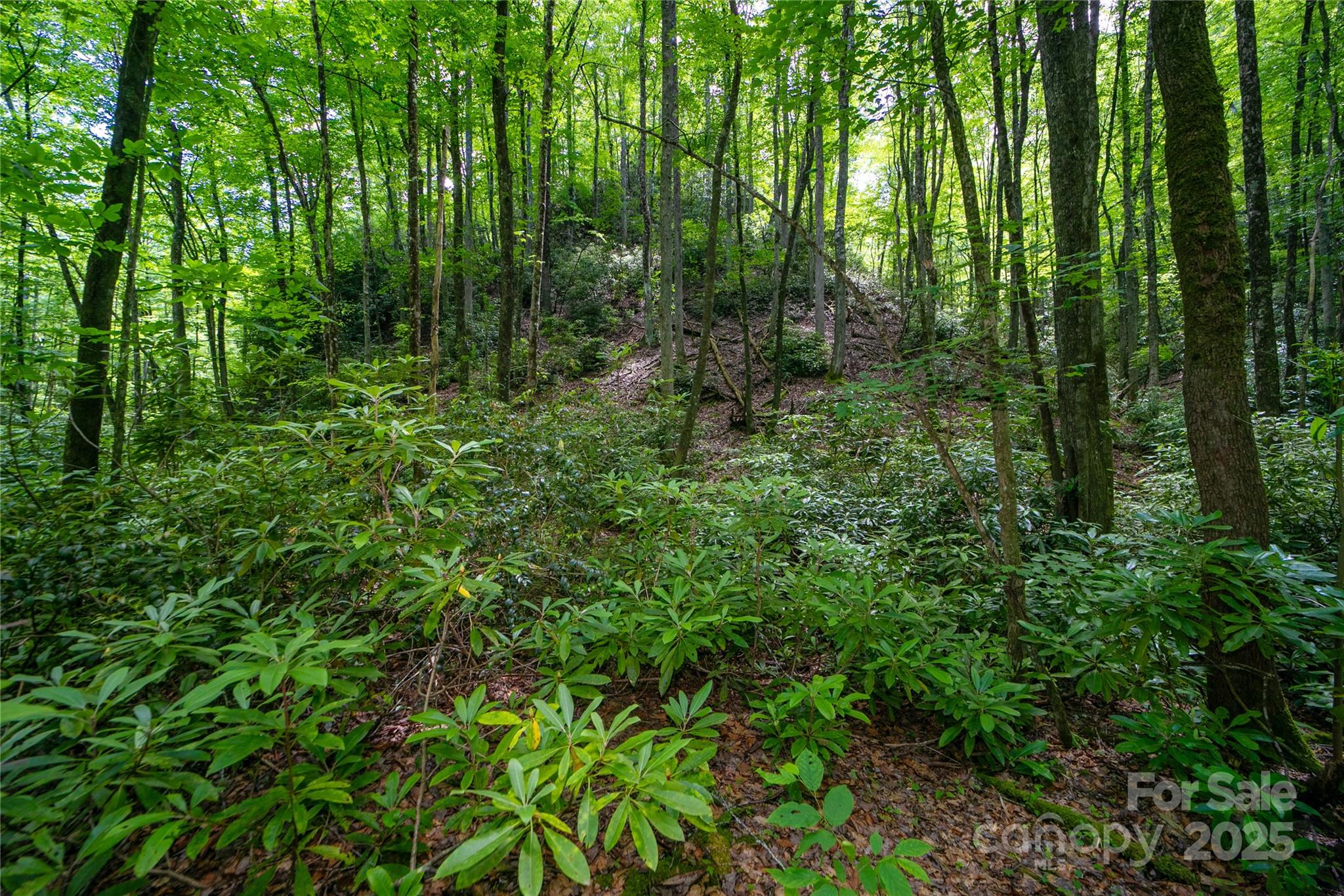 4277 Pickens Highway Rosman NC 28772