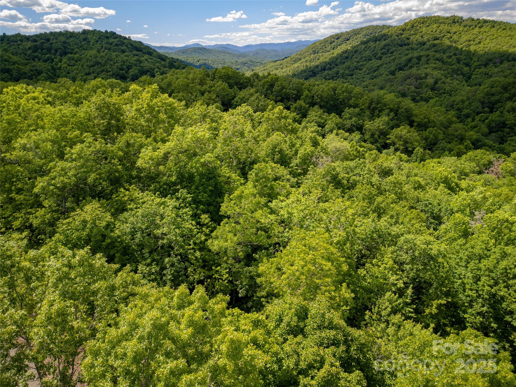 4277 Pickens Highway Rosman NC 28772