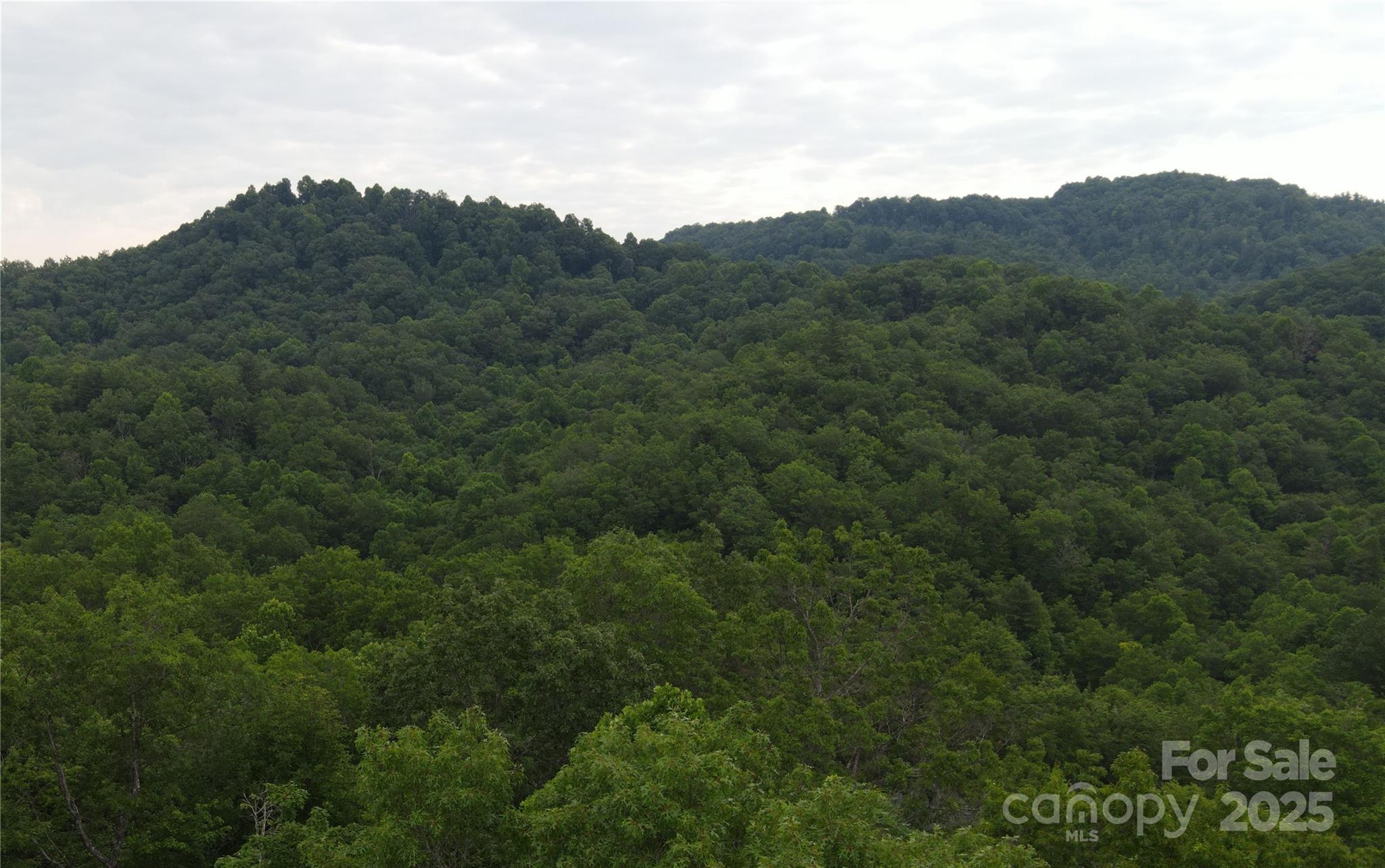 4277 Pickens Highway Rosman NC 28772