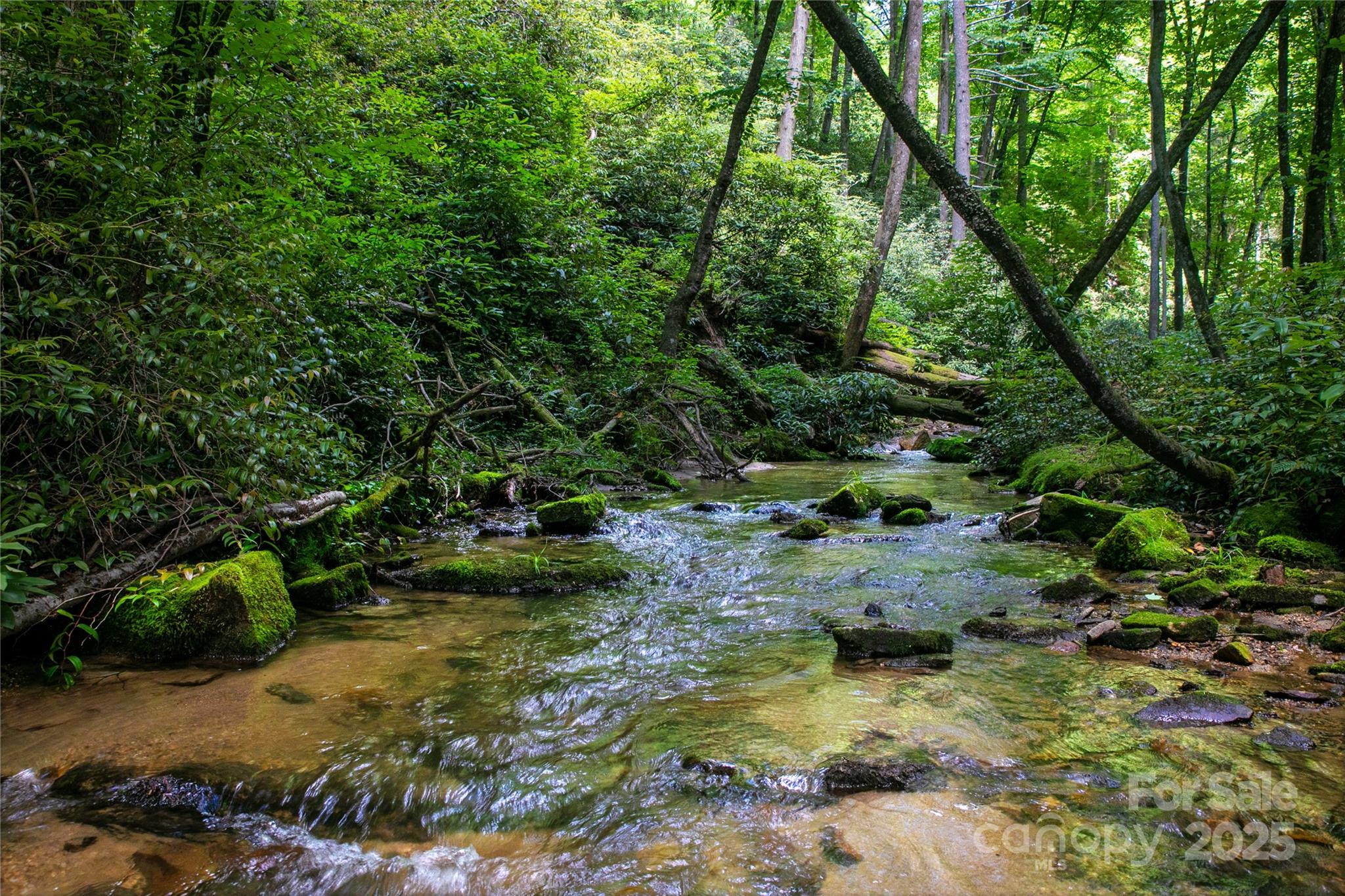 4277 Pickens Highway Rosman NC 28772