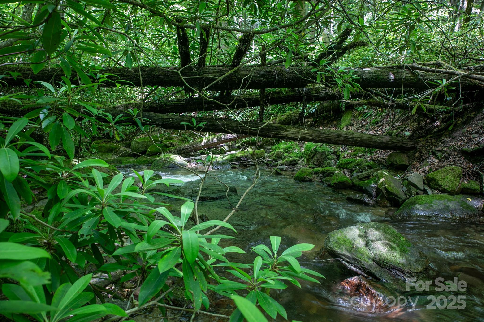 4277 Pickens Highway Rosman NC 28772