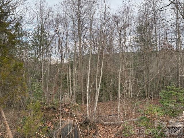 0 S Old Nc 18 Highway S Connelly Springs NC 28612