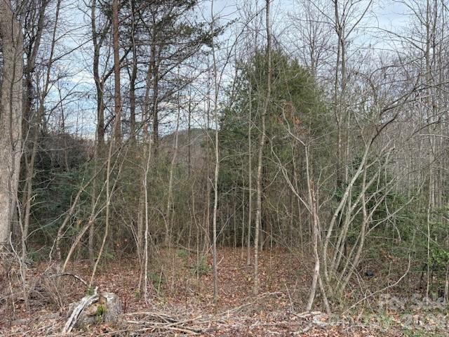 0 S Old Nc 18 Highway S Connelly Springs NC 28612