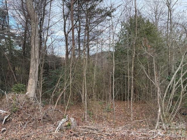 0 S Old Nc 18 Highway S Connelly Springs NC 28612
