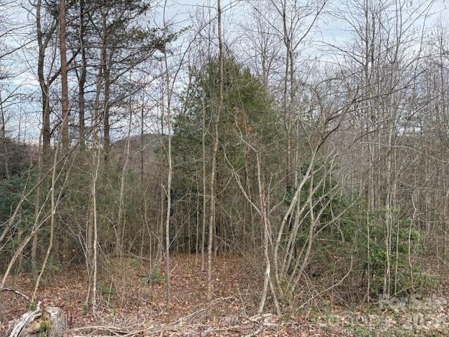 0 S Old Nc 18 Highway S Connelly Springs NC 28612