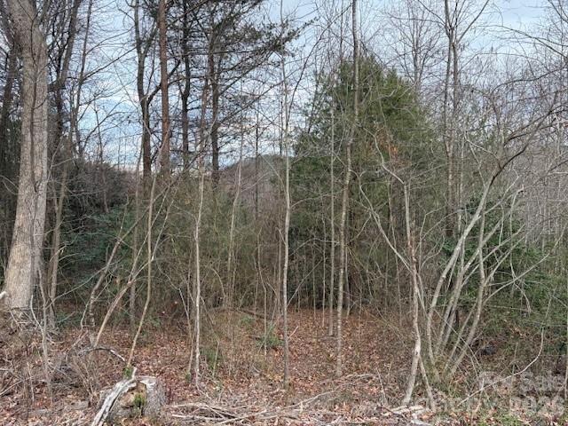 0 S Old Nc 18 Highway S Connelly Springs NC 28612