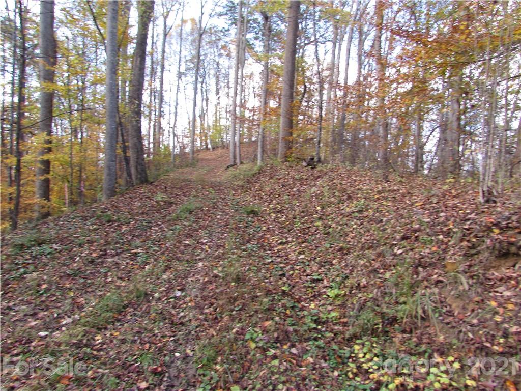 00 Red Wolf Run Mars Hill NC 28754
