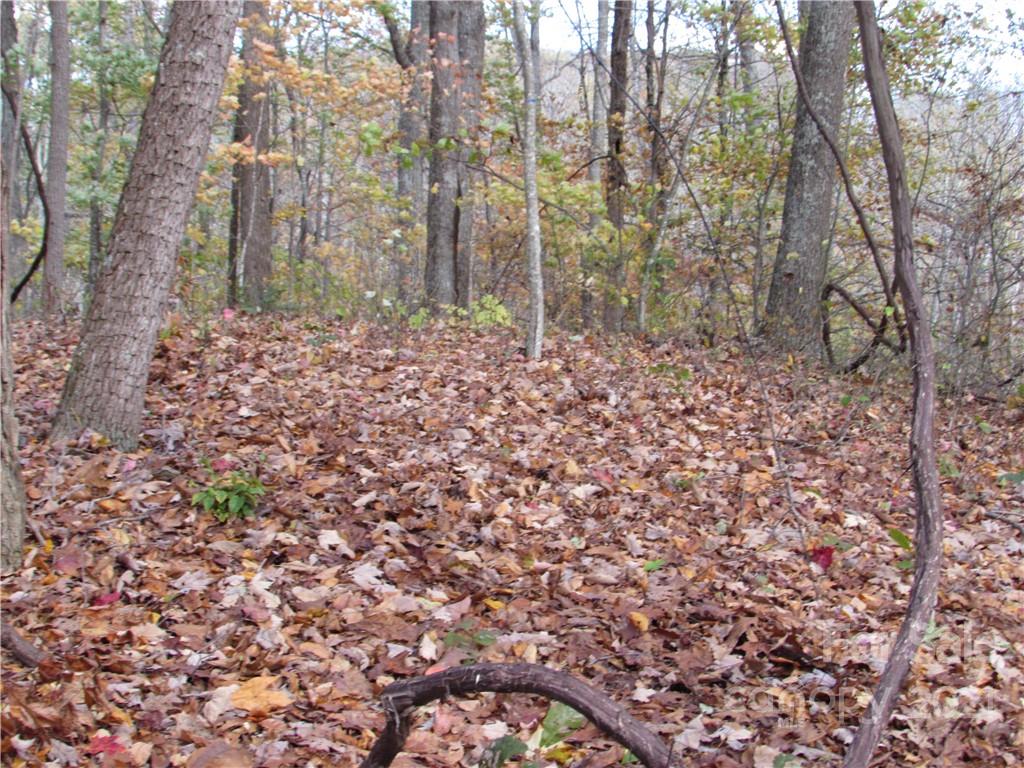 00 Red Wolf Run Mars Hill NC 28754